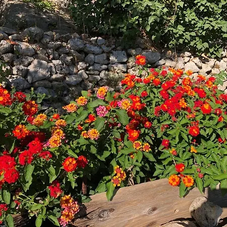 Vistalago Garden Doria Kemp