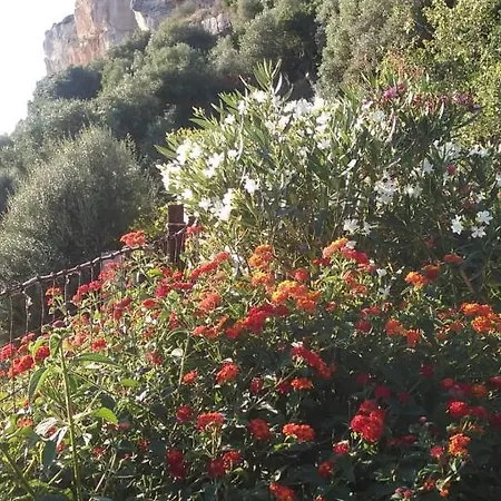 Vistalago Garden Doria Campsite Monteleone Rocca Doria