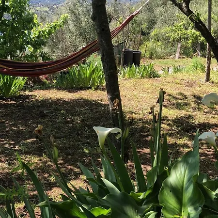 Vistalago Garden Doria Campsite
